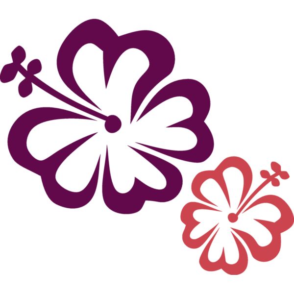 hibiscus2 Thumbnail
