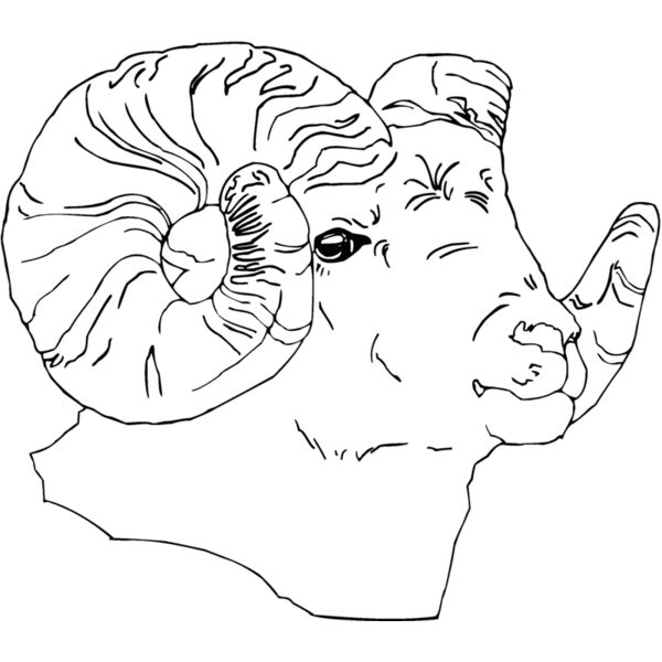 nabighorn Thumbnail