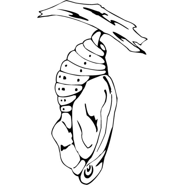 cocoon Thumbnail