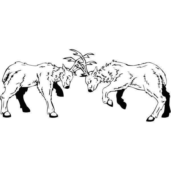ftdeer Thumbnail