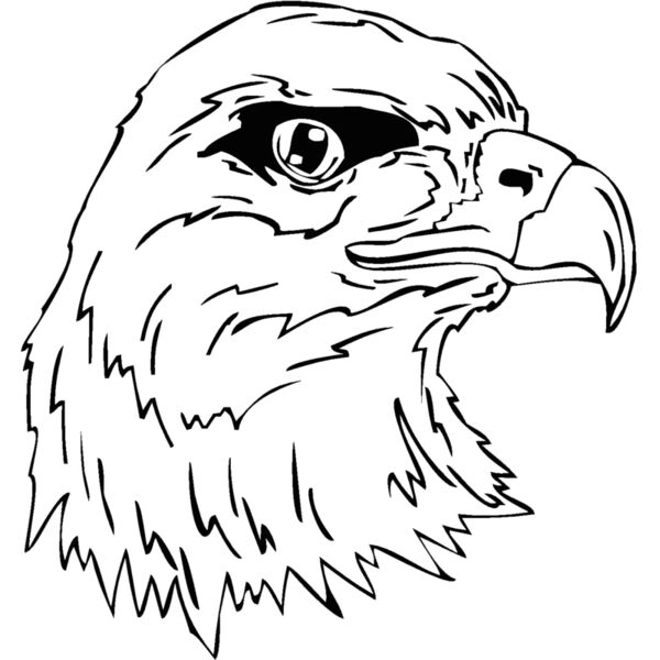 eaglehea Thumbnail
