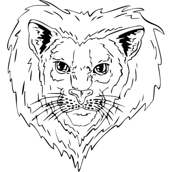 bbcat2 Thumbnail