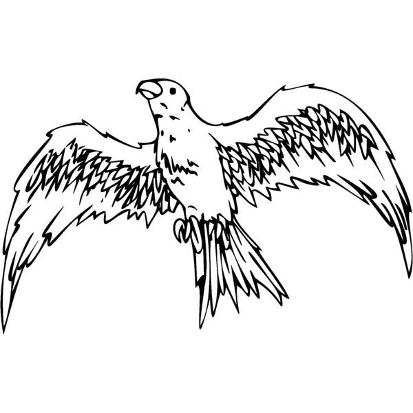 bird9 Thumbnail