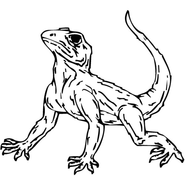 lizard 6 Thumbnail