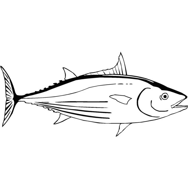 tuna Thumbnail