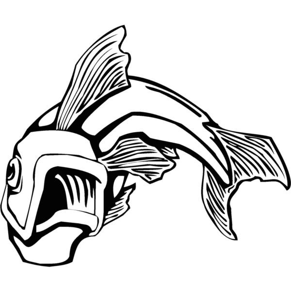 fish6 Thumbnail