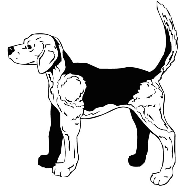 dog2 Thumbnail
