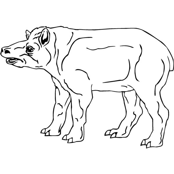 tapir Thumbnail