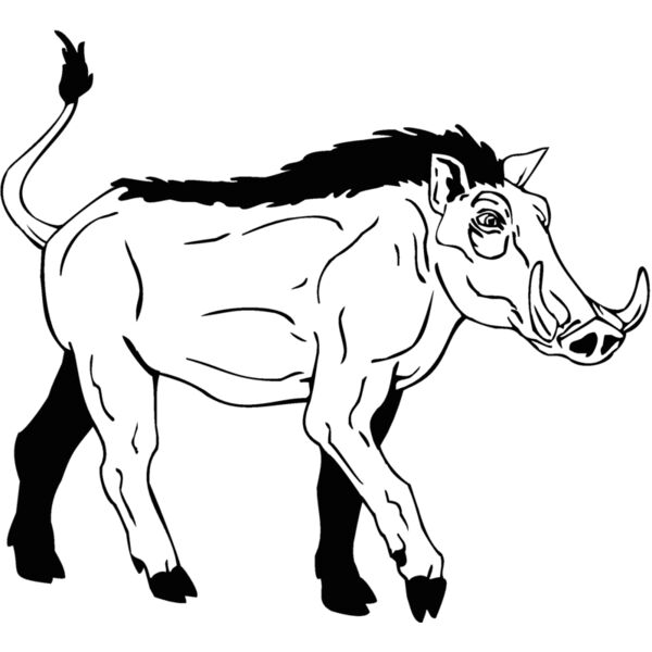 warthog Thumbnail