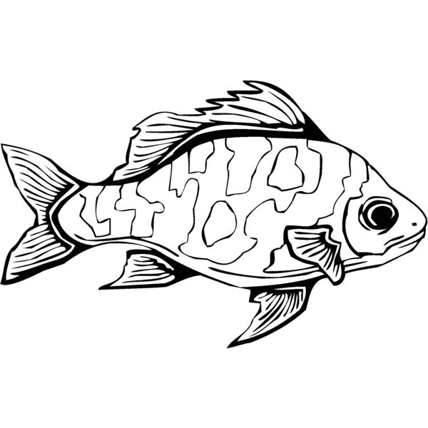 fish3 Thumbnail