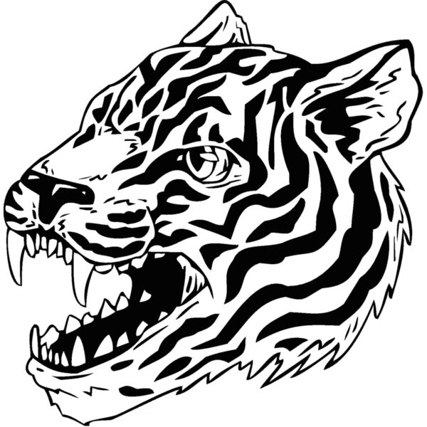 tigerhead04 Thumbnail