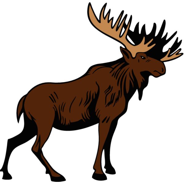 moose8 Thumbnail