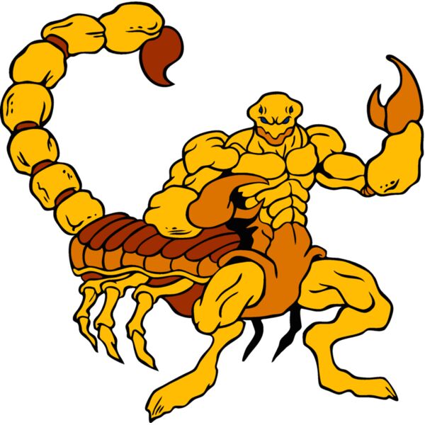 scorpion3 Thumbnail