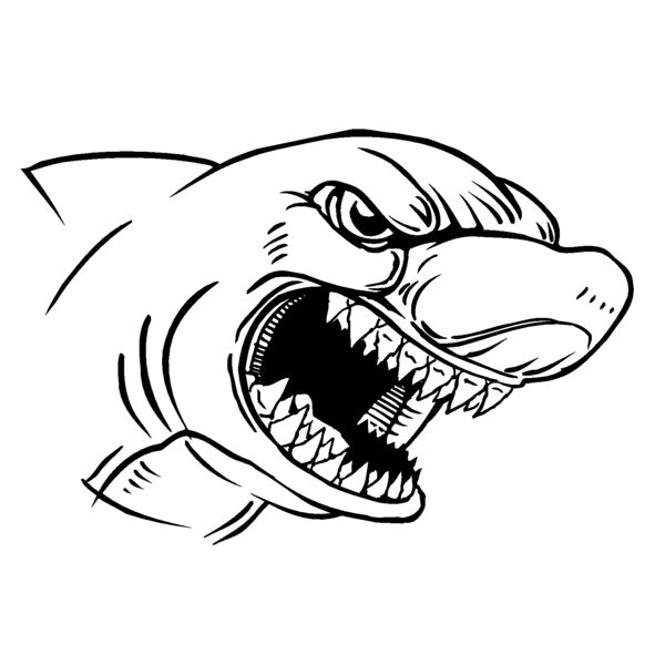 skahd4 Thumbnail