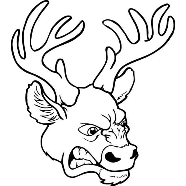 elkhd Thumbnail