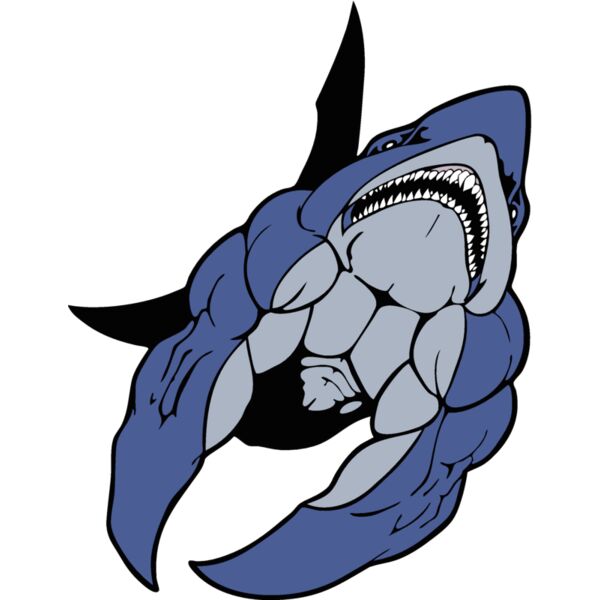 sharkmsct3 Thumbnail