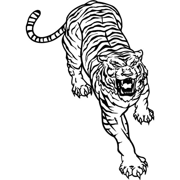 tiger10 Thumbnail