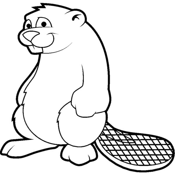 beaver2 Thumbnail