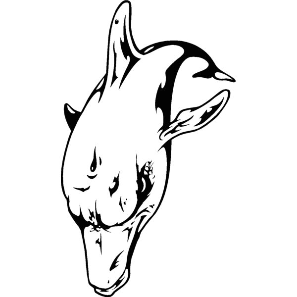 dolphin16 Thumbnail