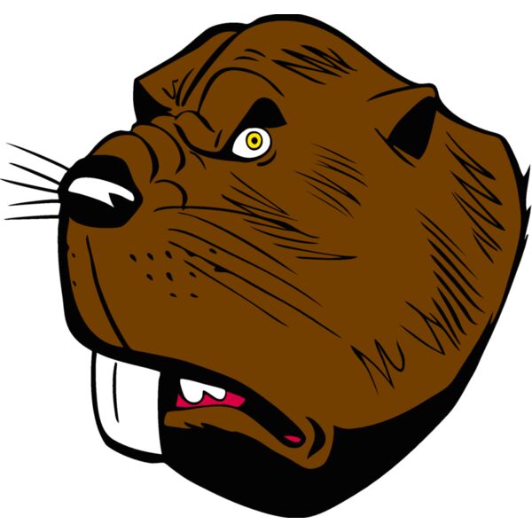 beaver32 Thumbnail