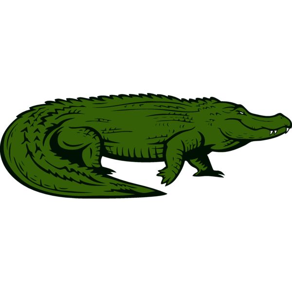 gator015 Thumbnail