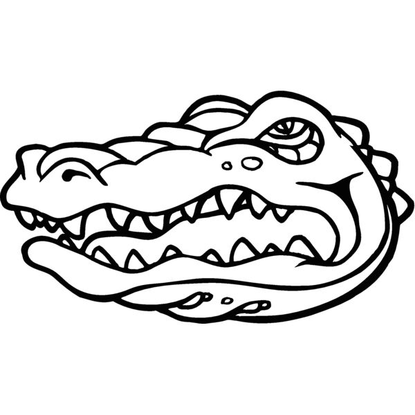 gatorhd3 Thumbnail