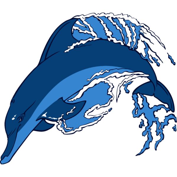 dolphin09 Thumbnail