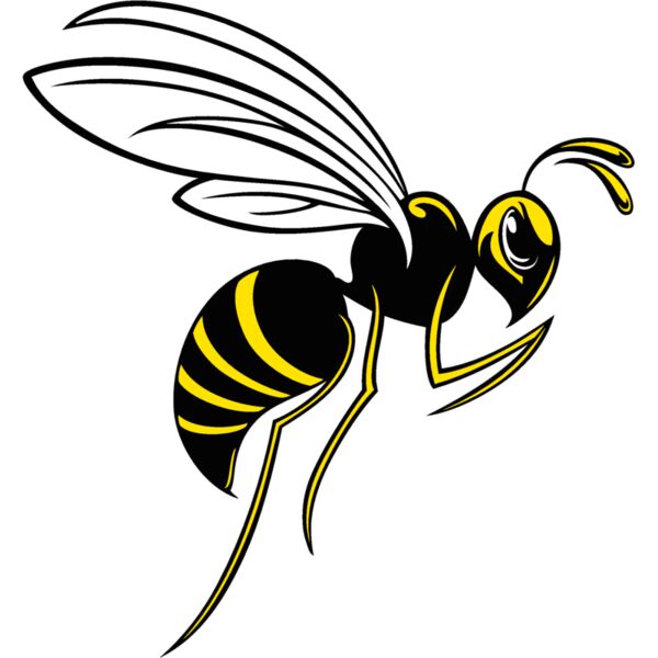 bee02v4clr Thumbnail