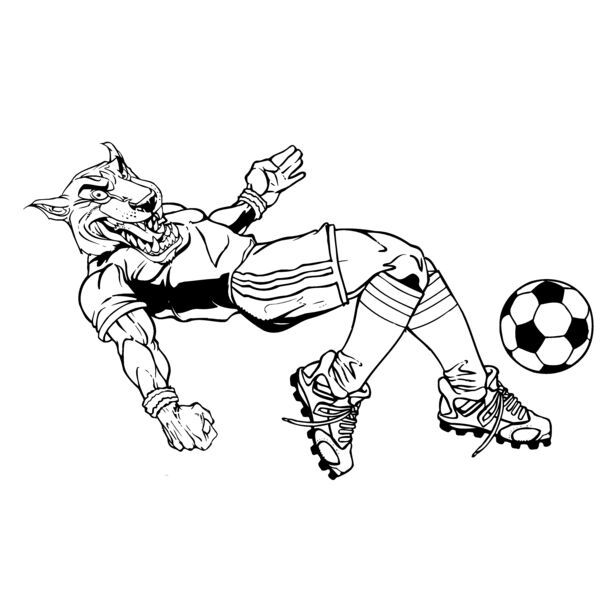 cgsr Thumbnail