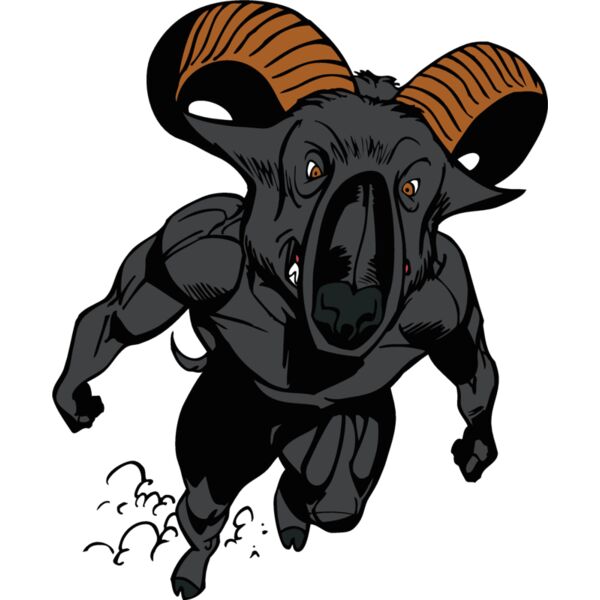 ram2 Thumbnail