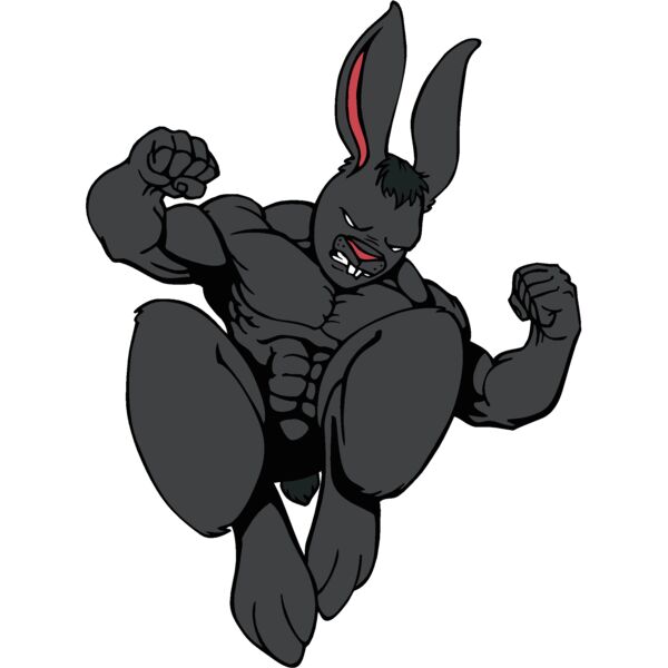 rabbitbn2 Thumbnail