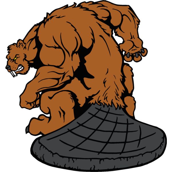 beaver1 Thumbnail