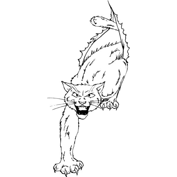 wildcat2 Thumbnail