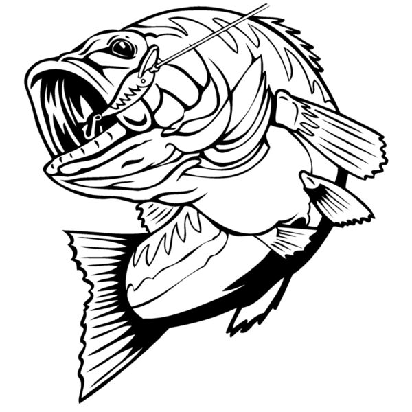 fish04 Thumbnail